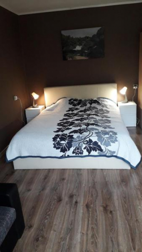 Jolantas apartment near the airport in Riga